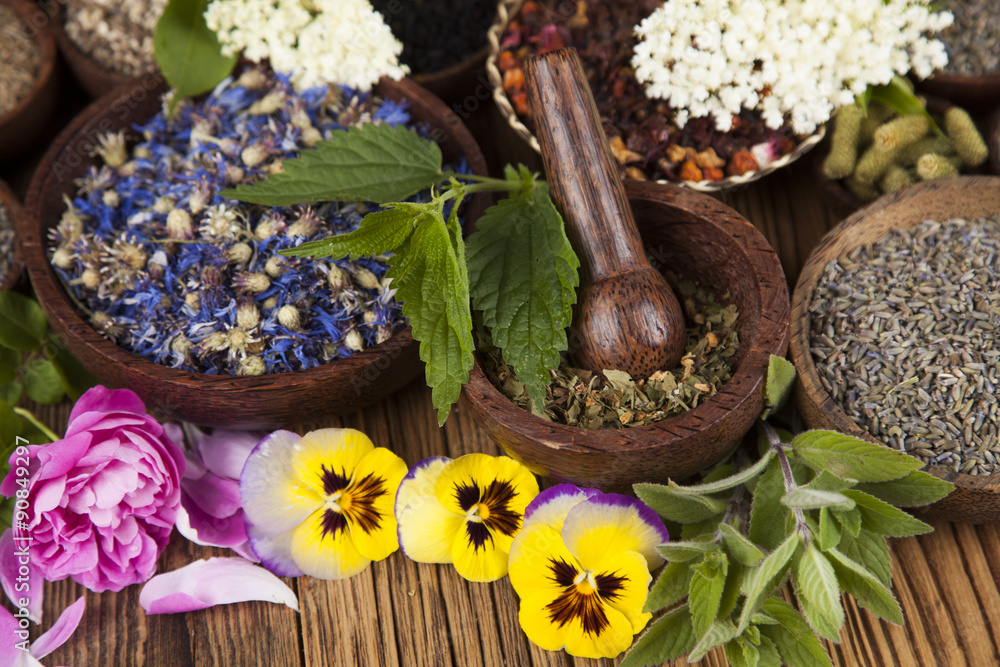 Fresh medicinal herbs on wooden background Fresh medicinal herbs on wooden background