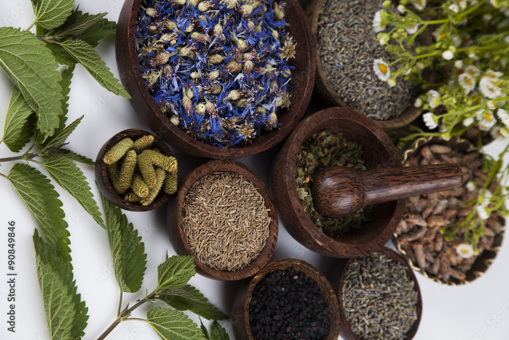 custom made wallpaper toronto digitalAssorted natural medical, herbs and mortar