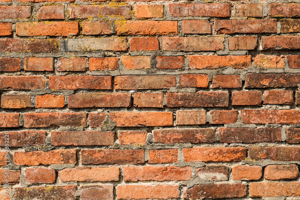 Fototapeta premium Bricks