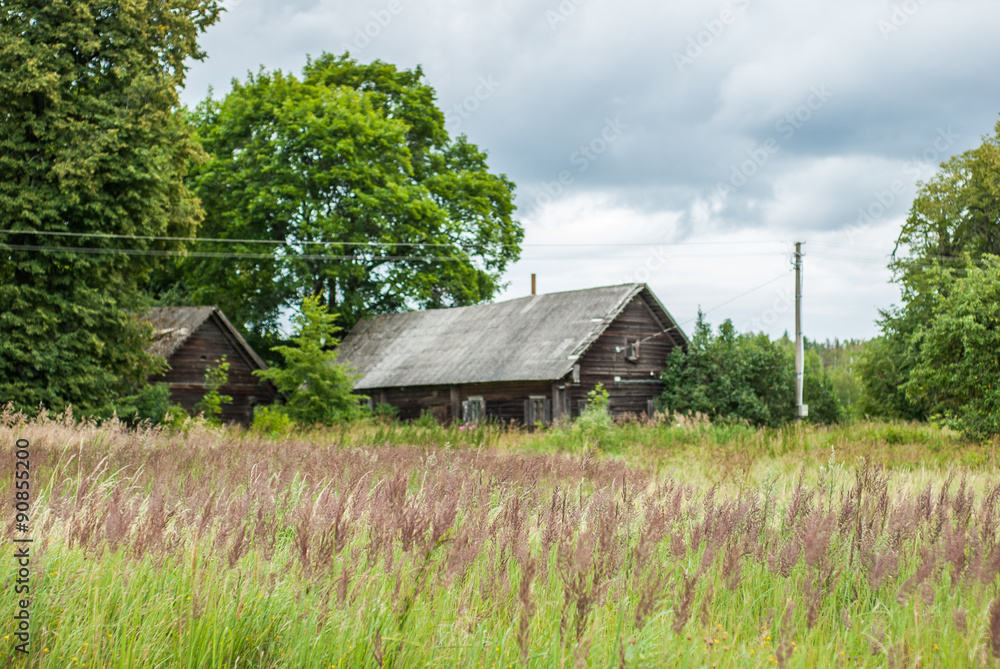 Obraz premium old wooden house near forest