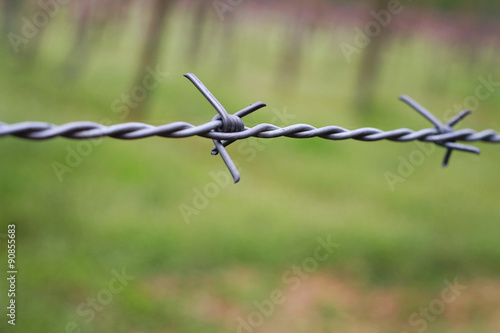 Barbed wire. Security, protection, border, private property, outdoors