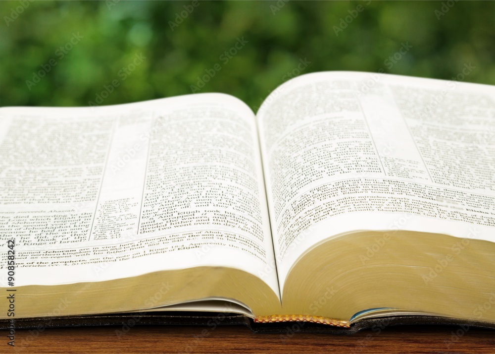 Obraz premium Open revelation.