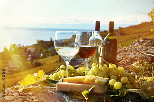 Fototapeta Naklejka Na Ścianę i Meble -  Wine and grapes. Lavaux, Switzerland