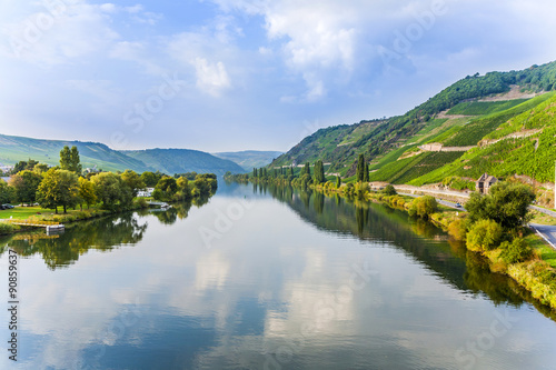 Foto moselle valley at Trittenheim