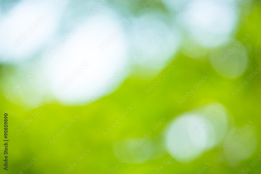 Fototapeta premium Abstract blur green leaf background