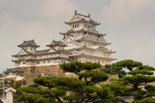 Himeji castle with pine trees in foreground