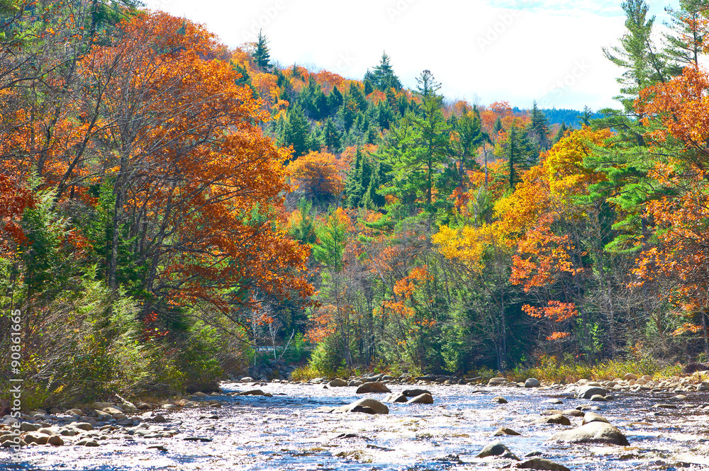 Swift River at autumn Swift River at autumn