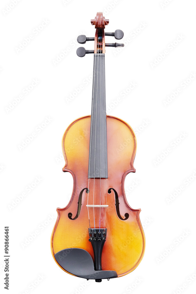 Obraz premium violoncello isolated under the white background