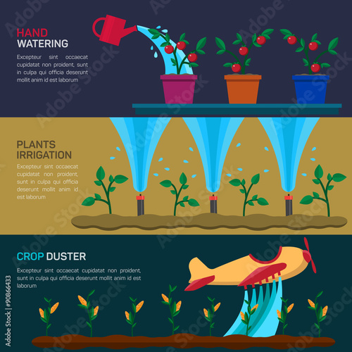 Automatic Sprinklers Watering. Agriculture