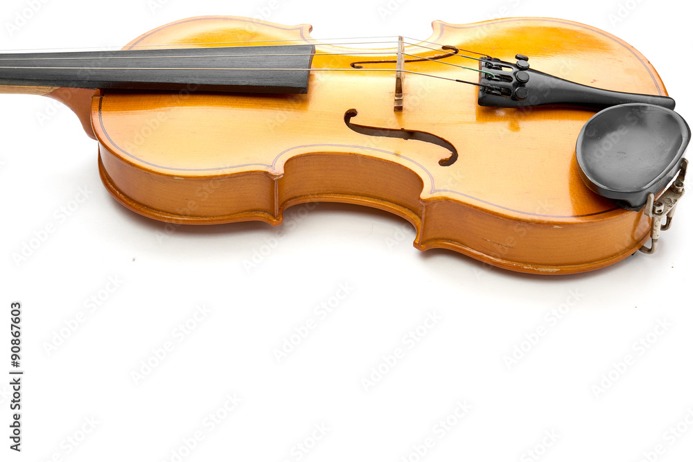 Obraz premium violin on white background