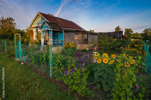 Garden with Sunflowers in front of old wooden house in russian v photo