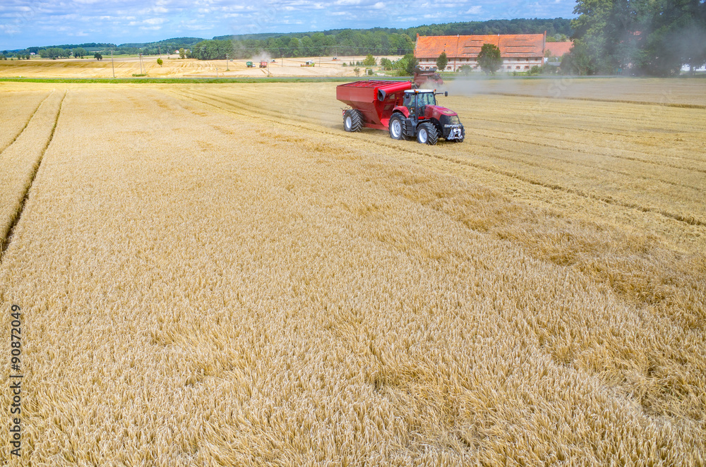 Obraz premium Combine working on the wheat field