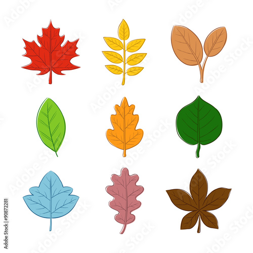 Various Autumn Leaf Hand Drawing