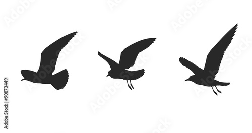 Canvas Print silhouette of seagulls in flying on a white background.