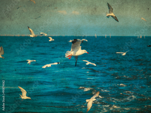 Fototapeta Flying seagulls. Retro filter.