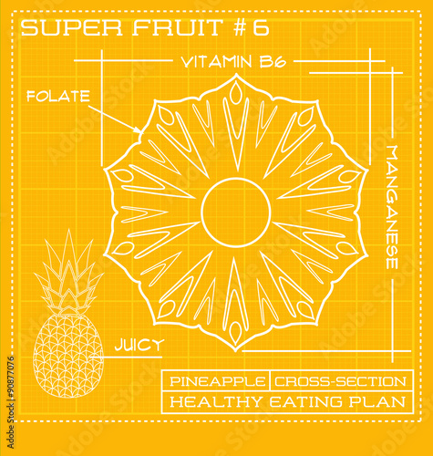 Blueprint diagram line drawing of fruit. Infographic of a pineapple cross section. 