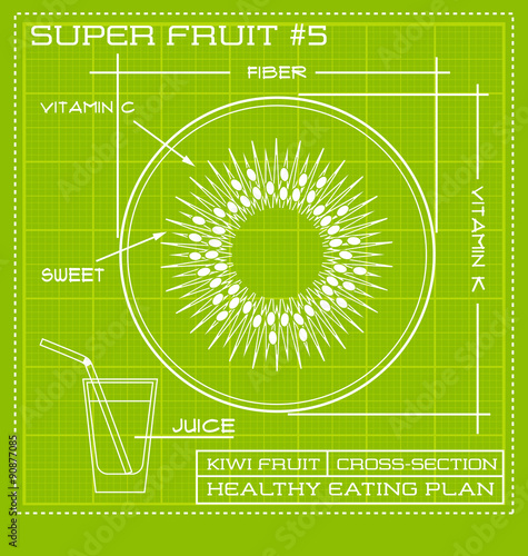 Blueprint diagram line drawing of fruit. Infographic of a kiwi cross section. 