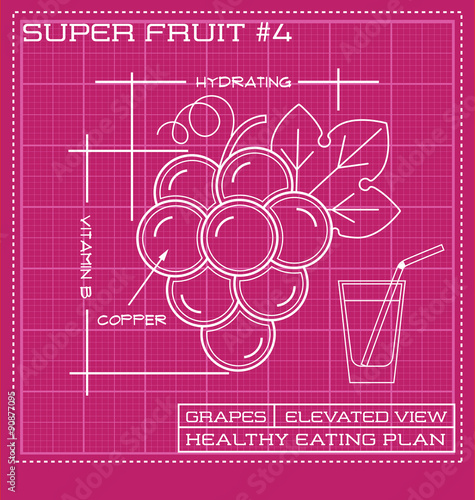 Blueprint diagram line drawing of fruit. Infographic of a bunch of grapes.