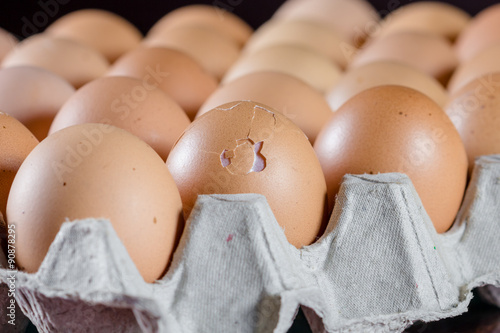 fresh egg