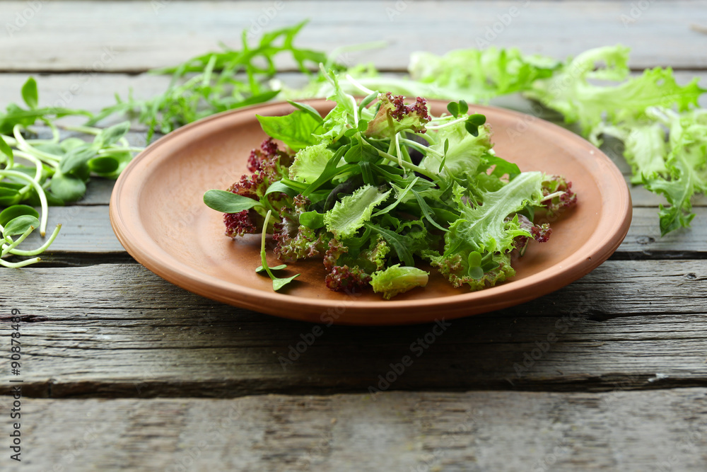 Plate of fresh mixed green salad on wooden table close up