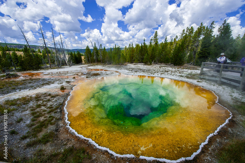 The Morning Glory Pool, Yellowstone National Park