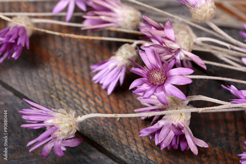 Beautiful wild flowers on wooden table close up