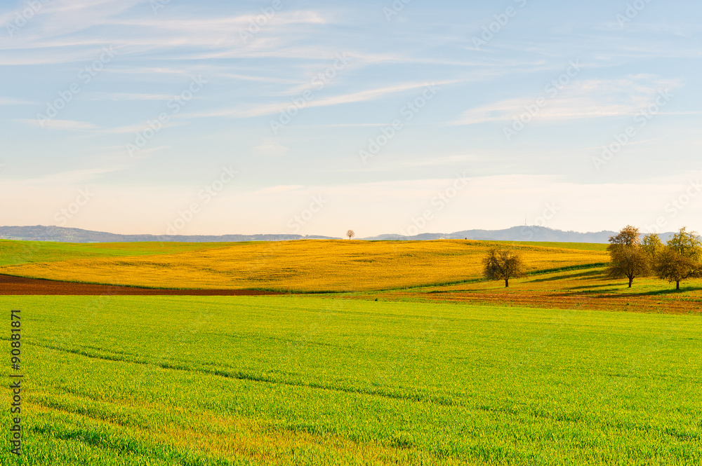 Obraz premium Green Meadows