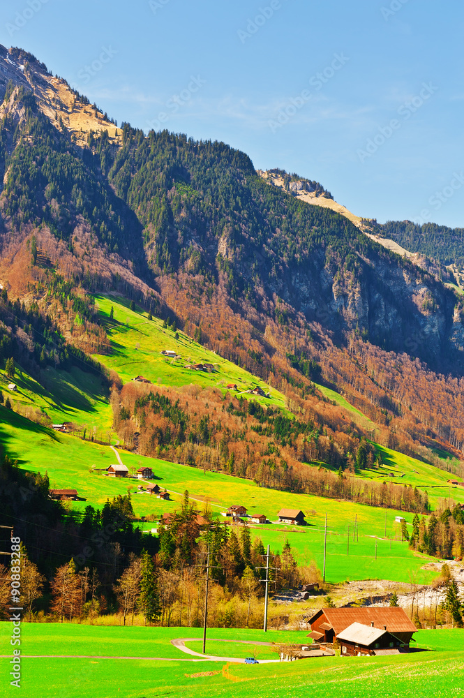 Naklejka premium Small Village