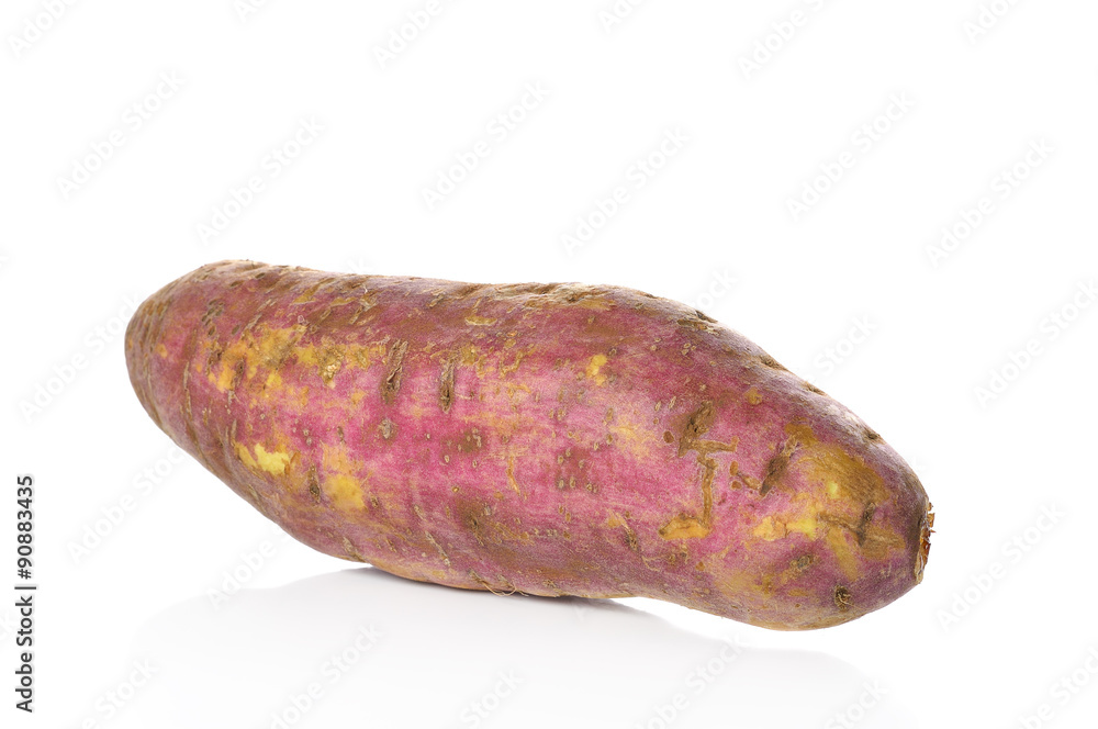sweet potato on the white background sweet potato on the white background