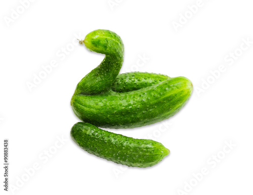 Cucumber with unusual shapes on a light background