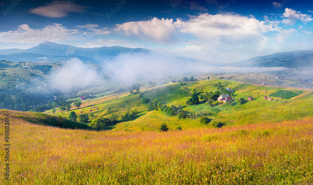 Foggy summer morning in the Carpathian mountains