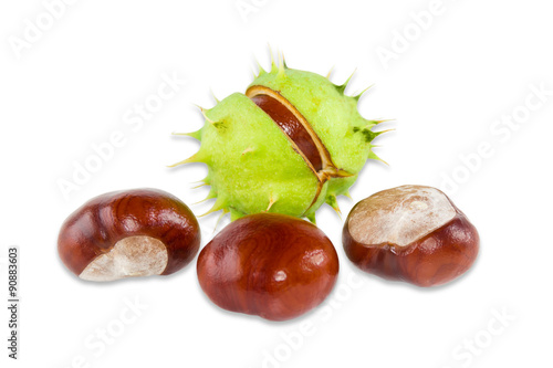 Several conkers on a light background