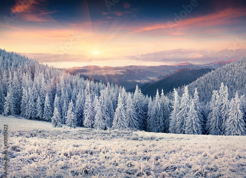 Colorful winter sunrise in the Carpathian mountains.