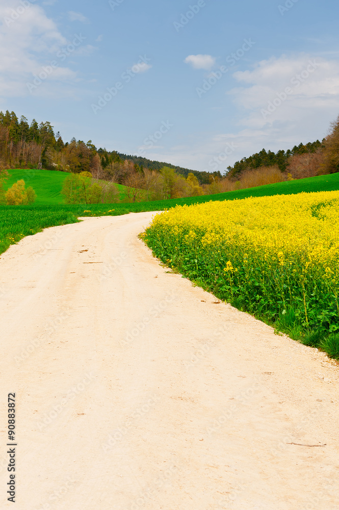 Obraz premium Dirt Road