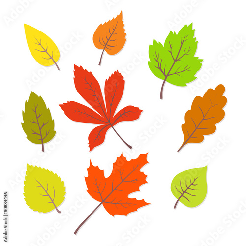 Colorful autumn leaves set. vector illustrations