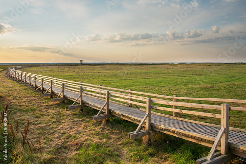 Wooden footpath.