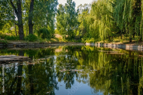 Fototapeta Naklejka Na Ścianę i Meble -  a mirror reflection of trees in lake