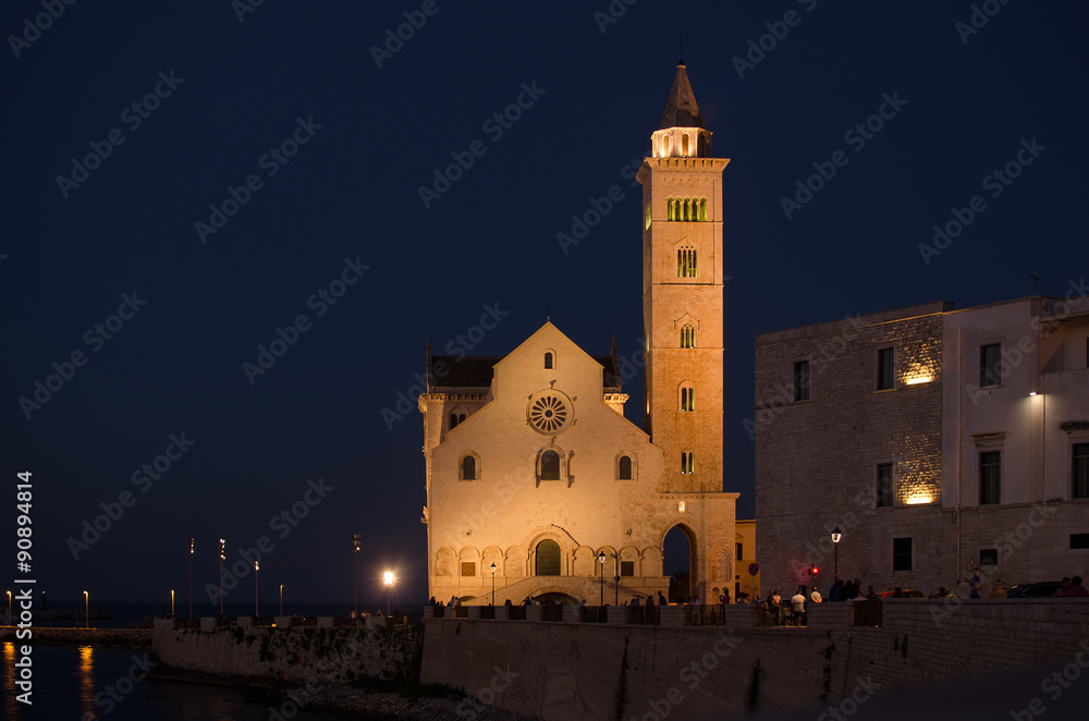 The Cathedral of Trani by night
