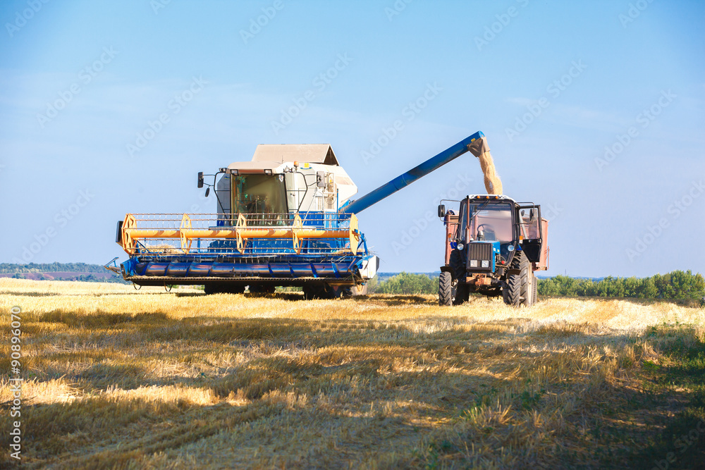Fototapeta premium Combine harvester working