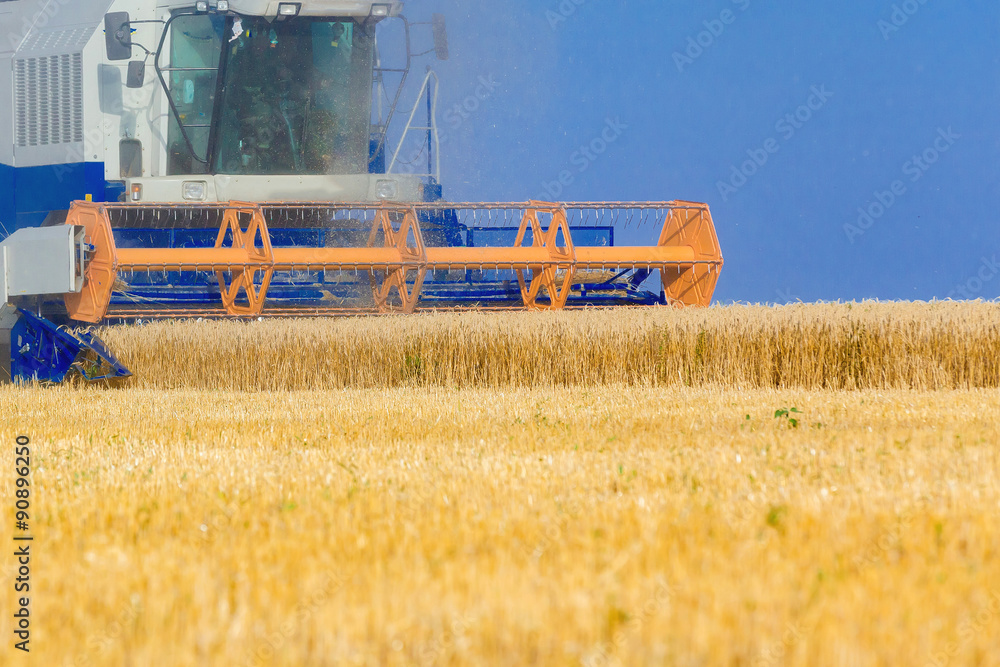 Obraz premium Combine harvester working
