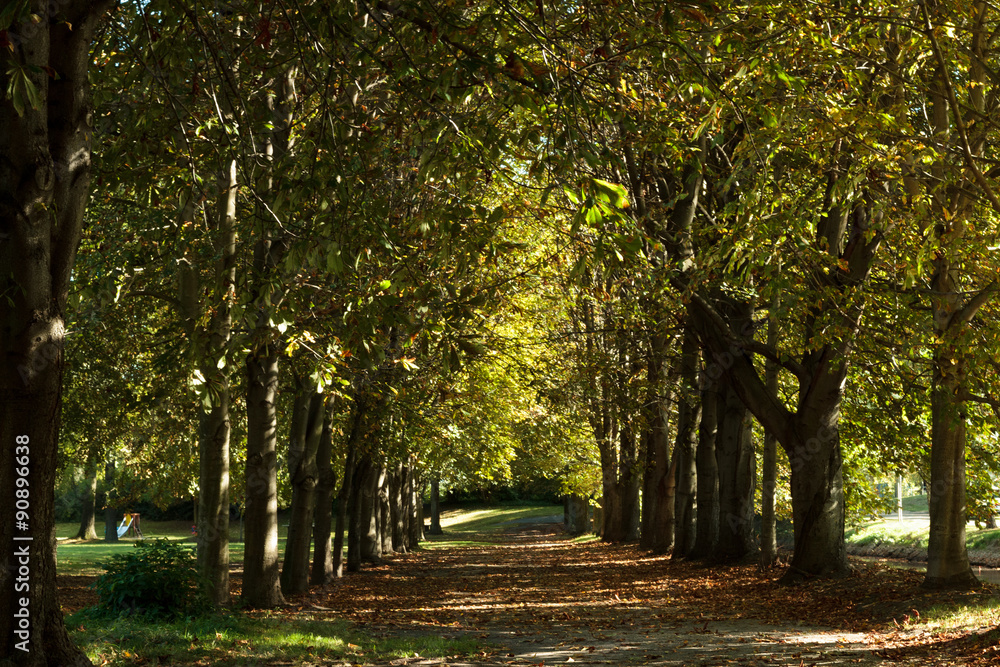 Naklejka premium Im Park..