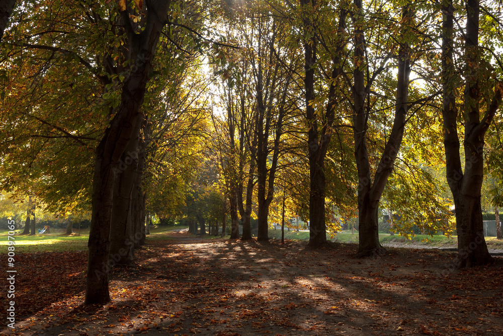 Naklejka premium Im Park..