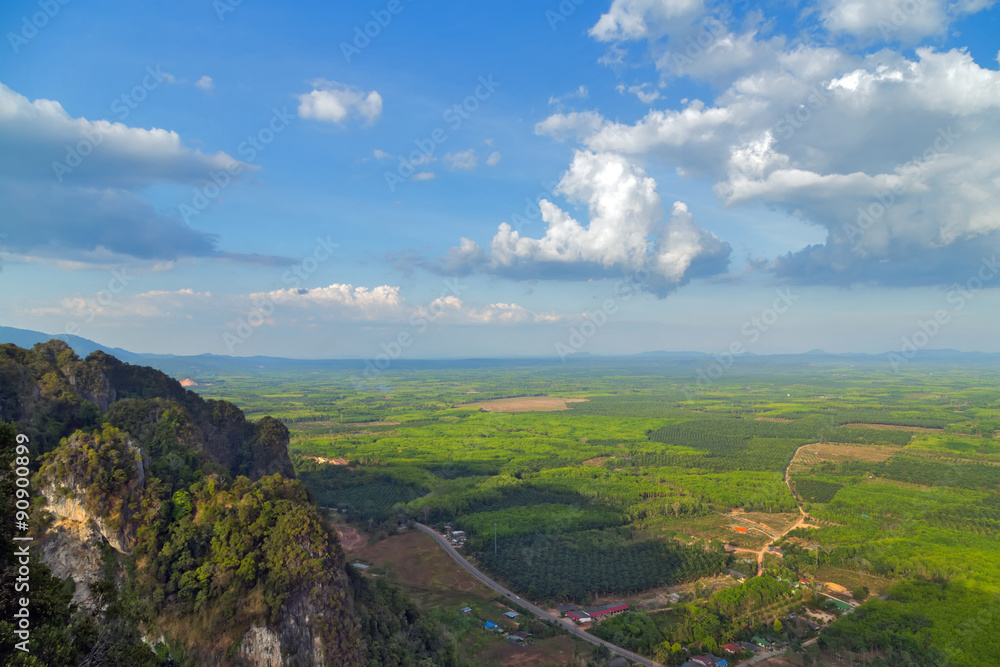 Obraz premium green landscape tropical