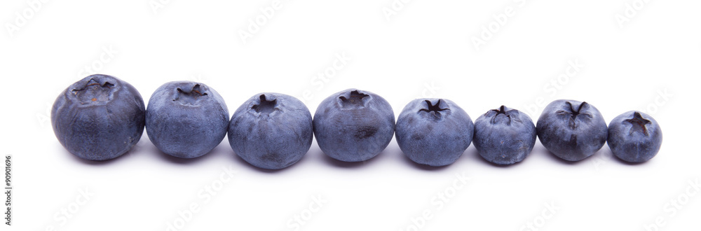 Blueberries on white background Blueberries on white background