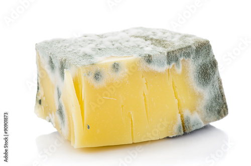 Mouldy Cheddar Cheese