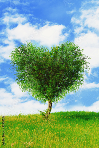 Green tree in heart shape  outdoors
