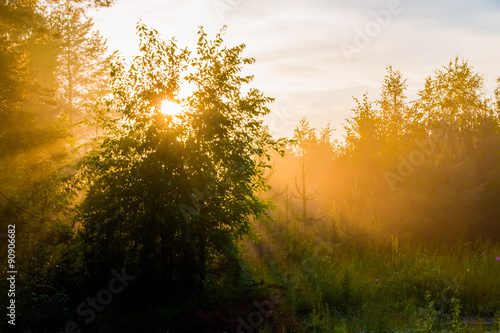 Лучи солнца в туманном закате / The rays of the sun in the foggy sunset