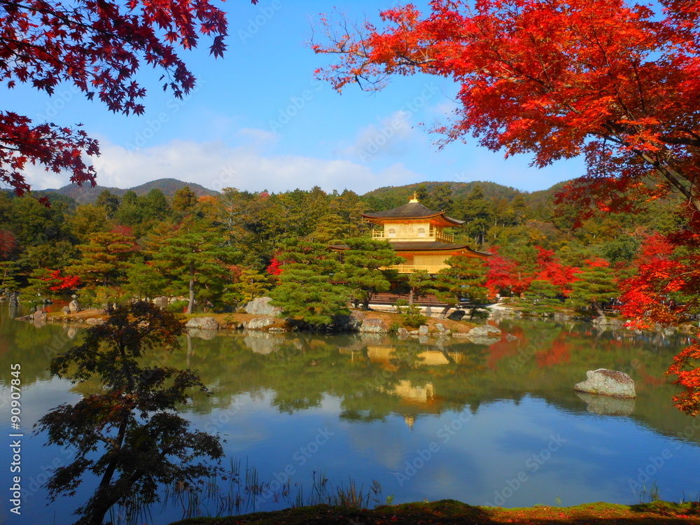 Fototapeta premium 金閣寺