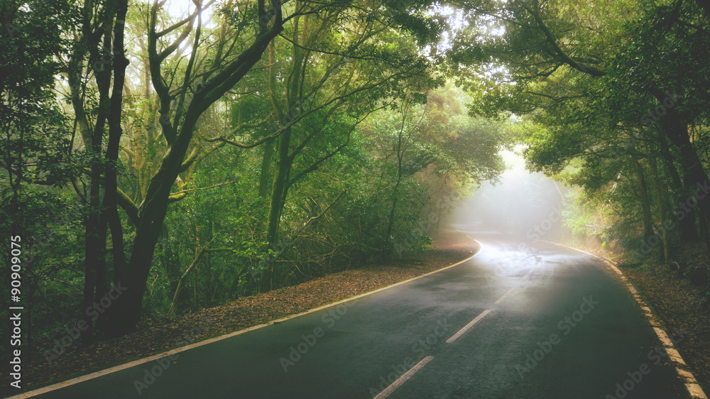 Fototapeta premium Autumn way