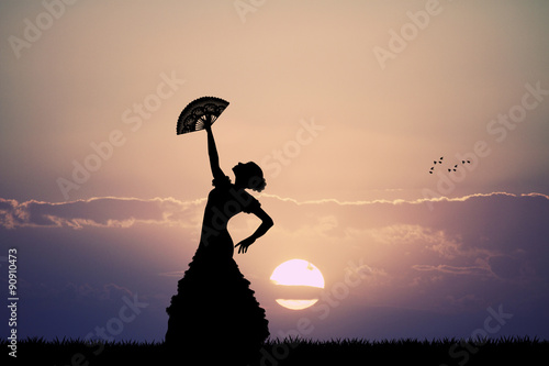 Fotografie flamenco at sunset